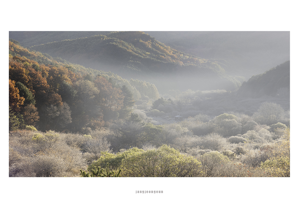 비밀의정원1000.jpg