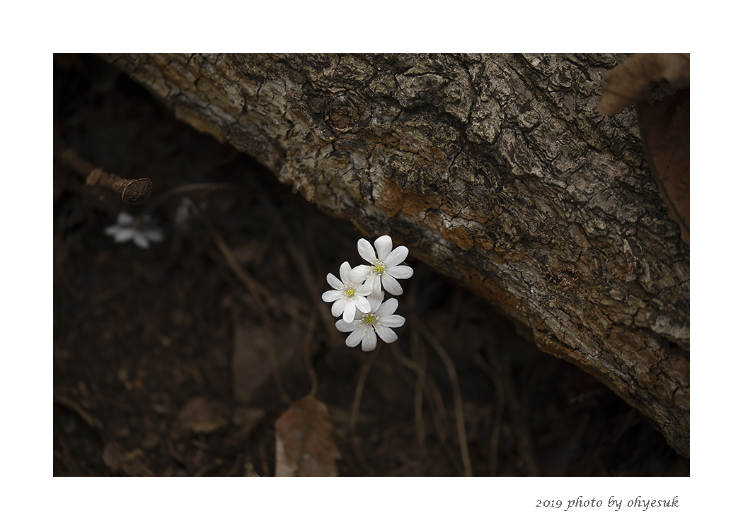 IU5A4257-2-9.jpg