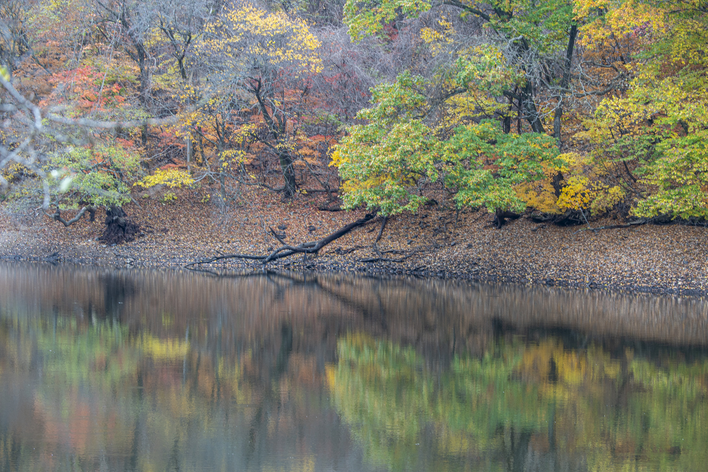 주산지 2.jpg