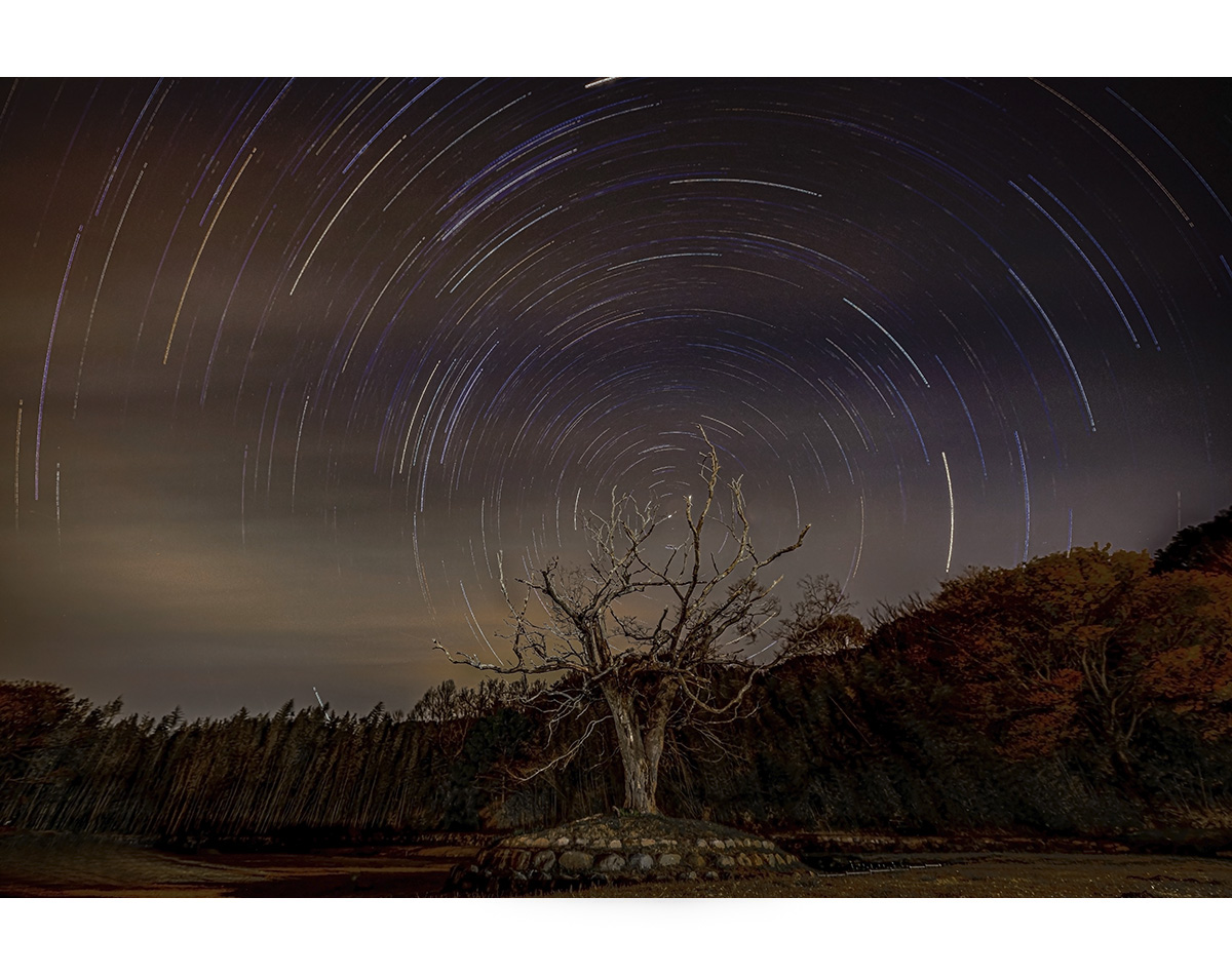 Startrails-1.jpg