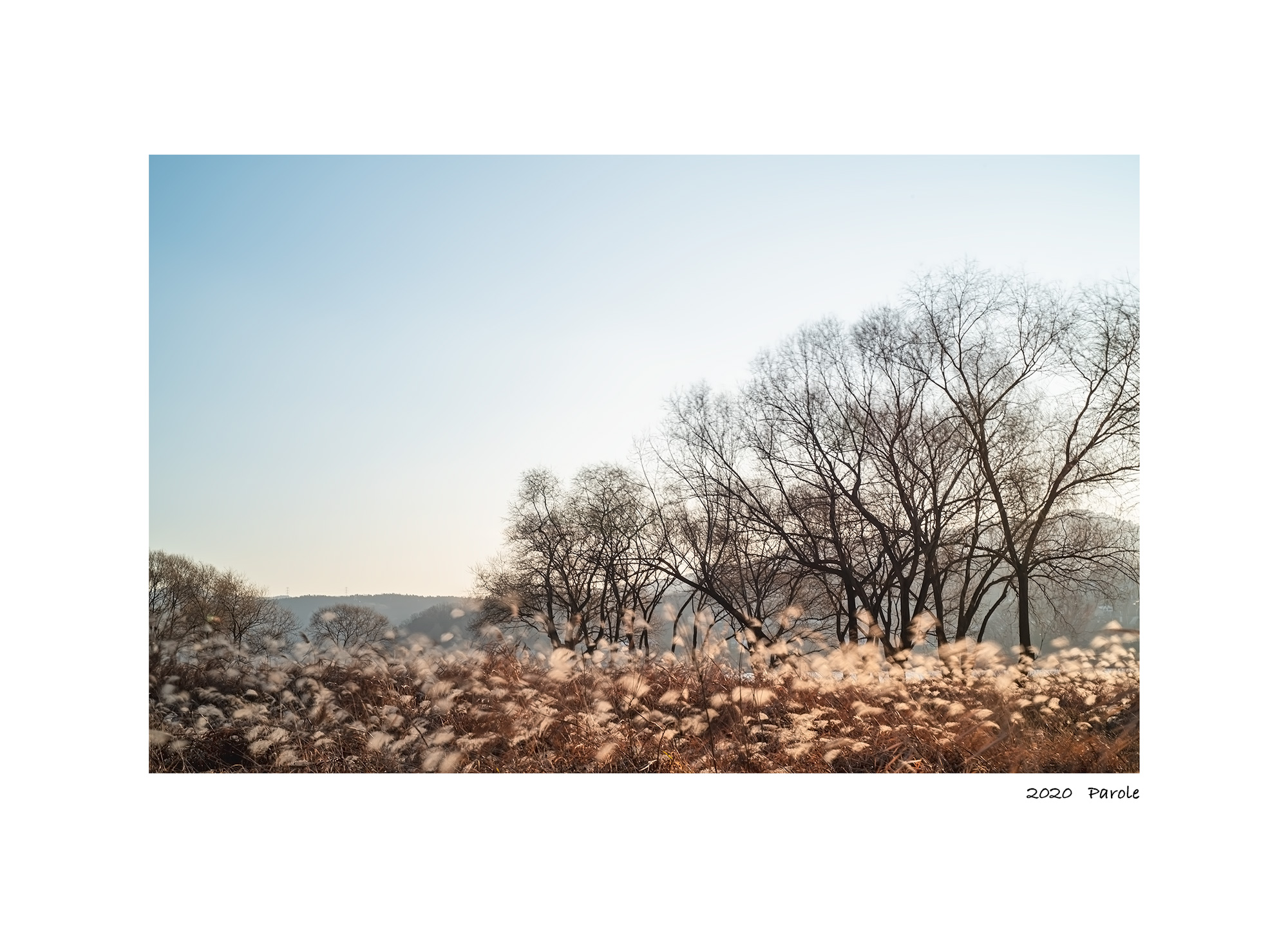 20201203-갈산공원3.jpg