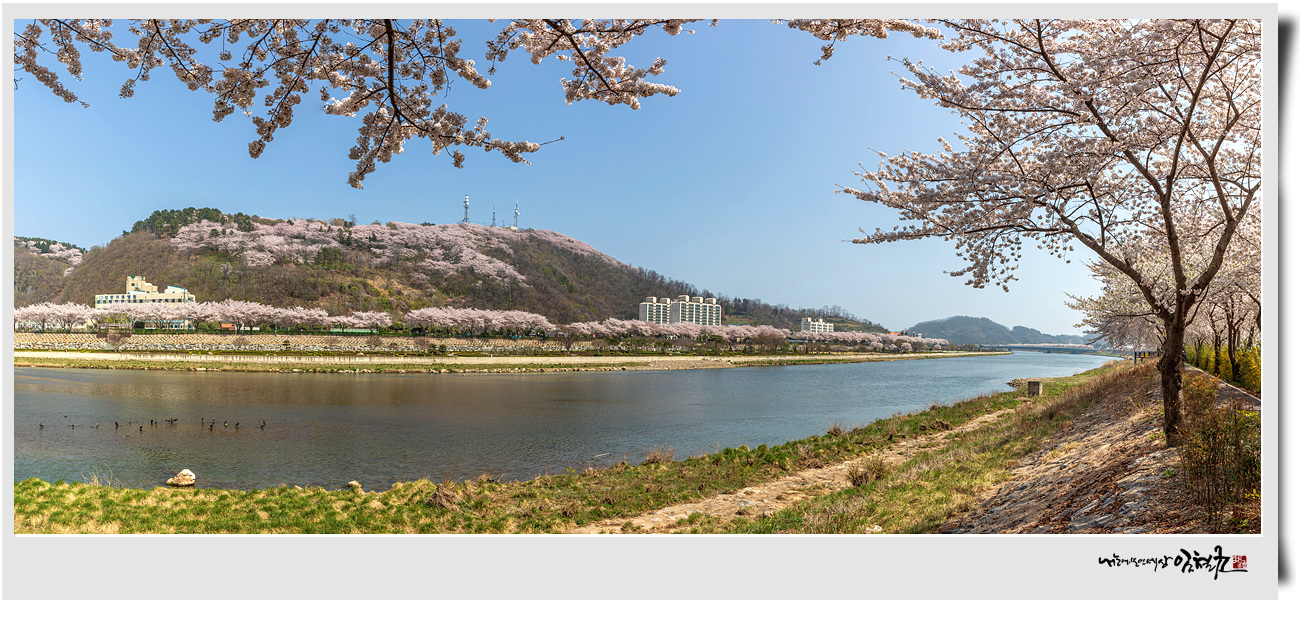 122A0438-Pano 복사.jpg