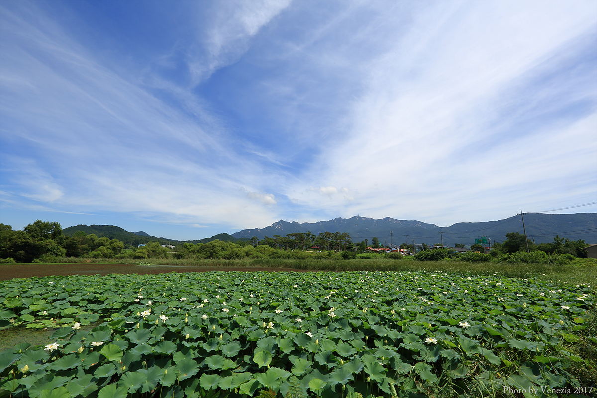 s_2017-08-05_당수논산공주_a45a3676.jpg