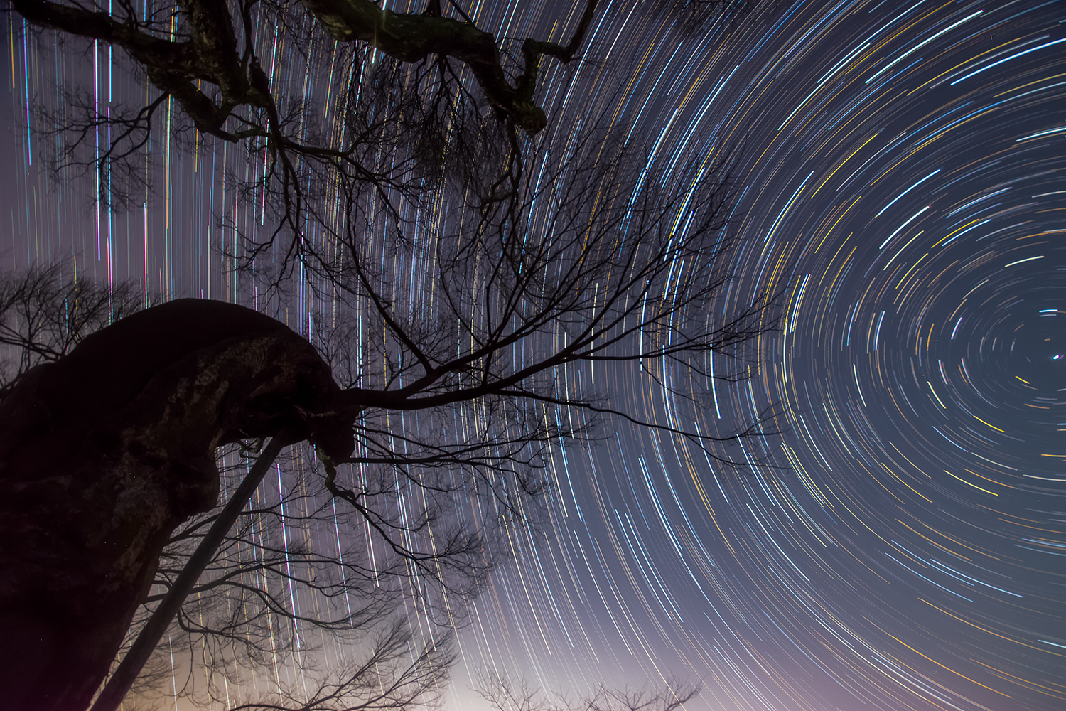 Startrails-4-b-2.jpg